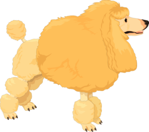 Fluffy Yellow Poodle Clip Art